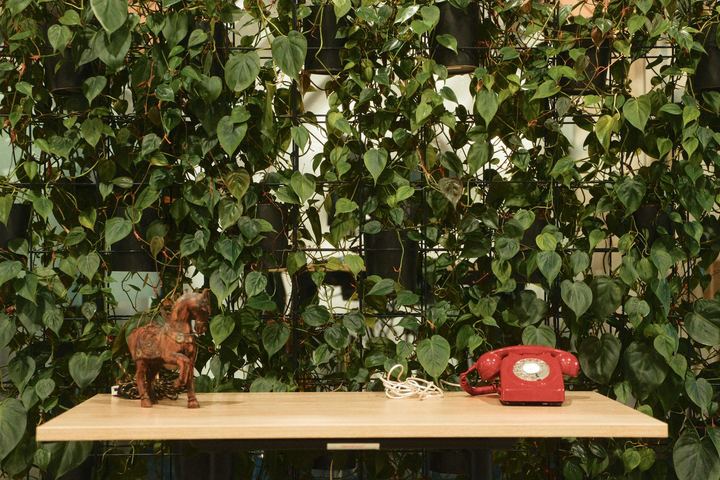 A wooden horse figurine and a red rotary phone on a desk in front of a wall of plants