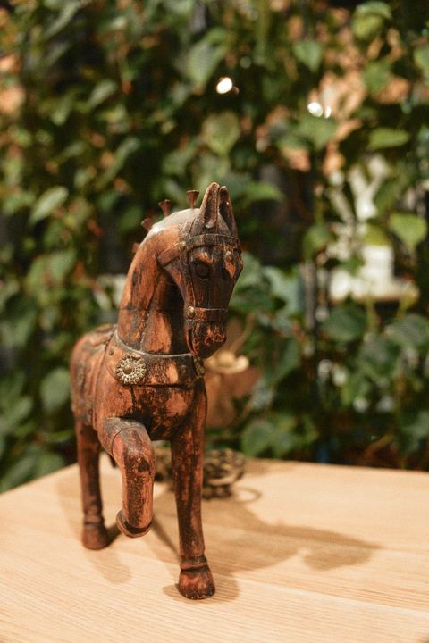 Close-up of the wooden horse figurine among the plants